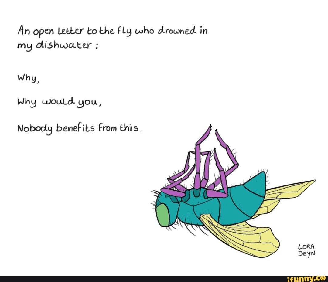An open Letter to the Fly who drowned in
my dishwater Why,
Nobooly benefits from this.
