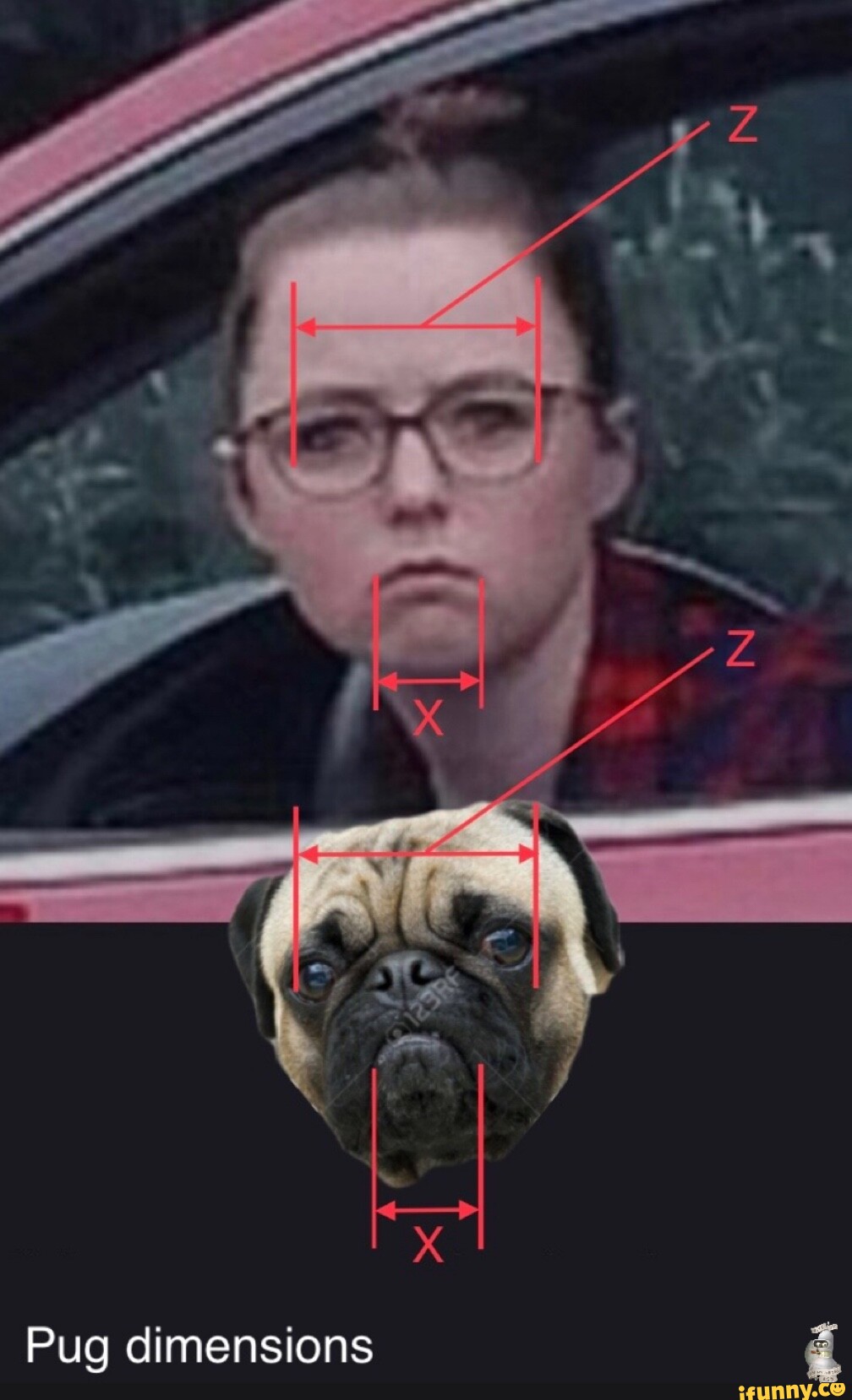 Video memes 1QiQYJPKA by notsorryamerica iFunny