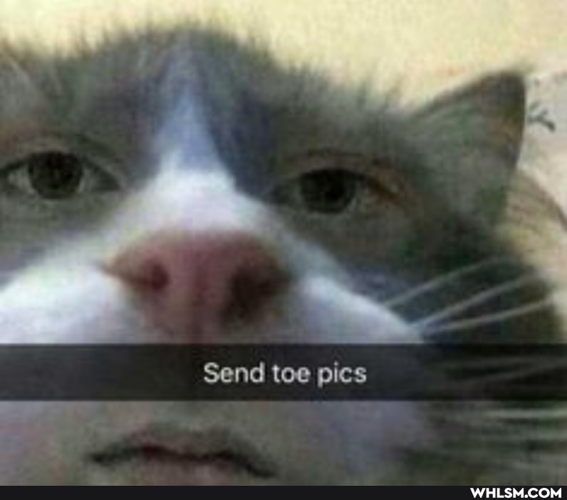 Sene tee pics