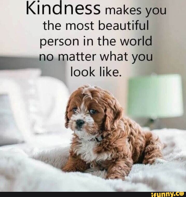 Kindness Makes You The Most Beautiful Person In The World No Matter 