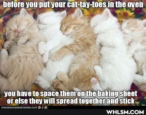 before you put your cat-tay-toes in the oven
you have to space them on the haking sheet or alca thay will snraad tagathar and ctick