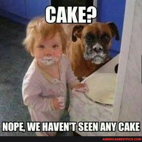 CAKES
NGPE, WE HAWEN'T SEEN ANY CAKE