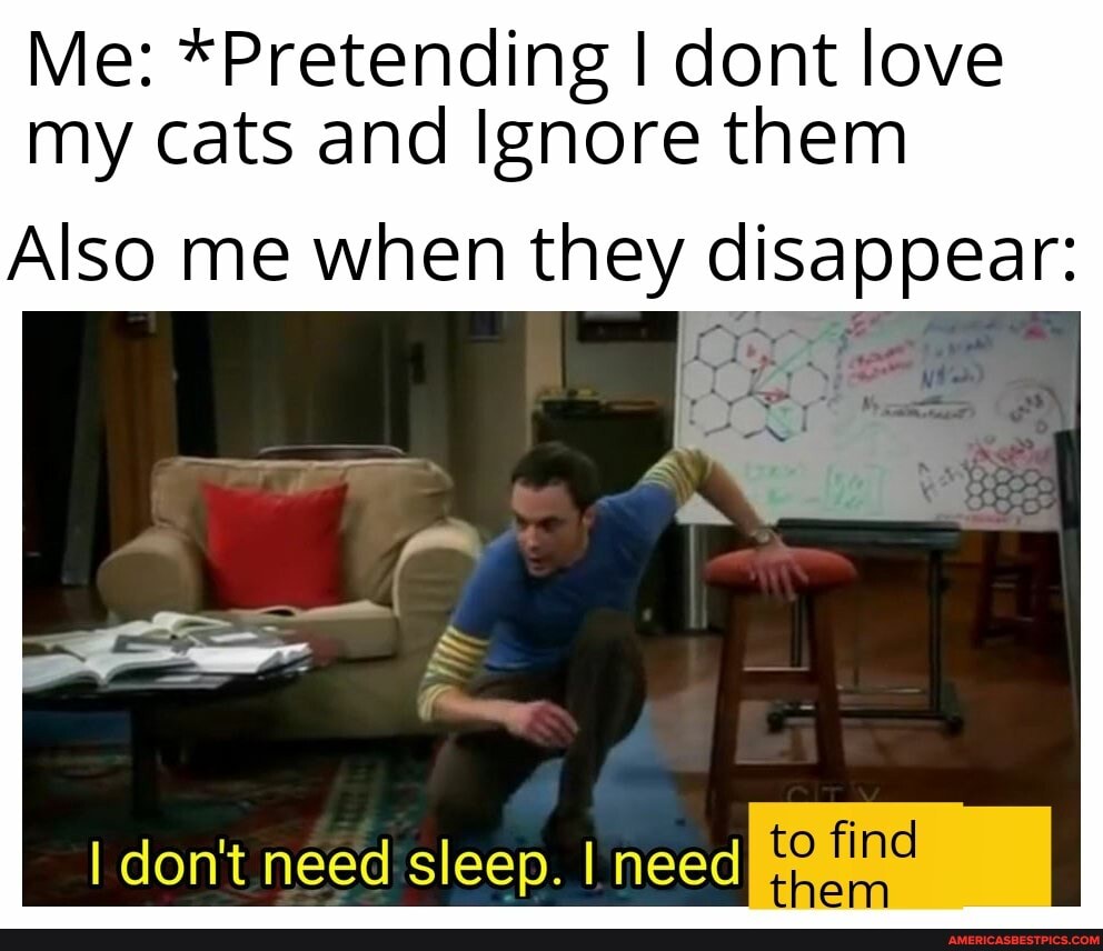 Me: *Pretending I cont love my cats and Ignore them
Also me when they disappear:
I don't need sleep. I meed
find
