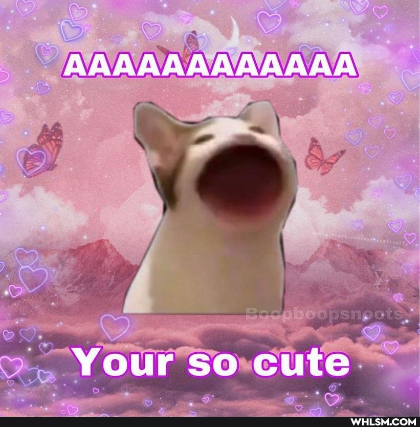 AAAAAAAAAAAAA
Your so cute