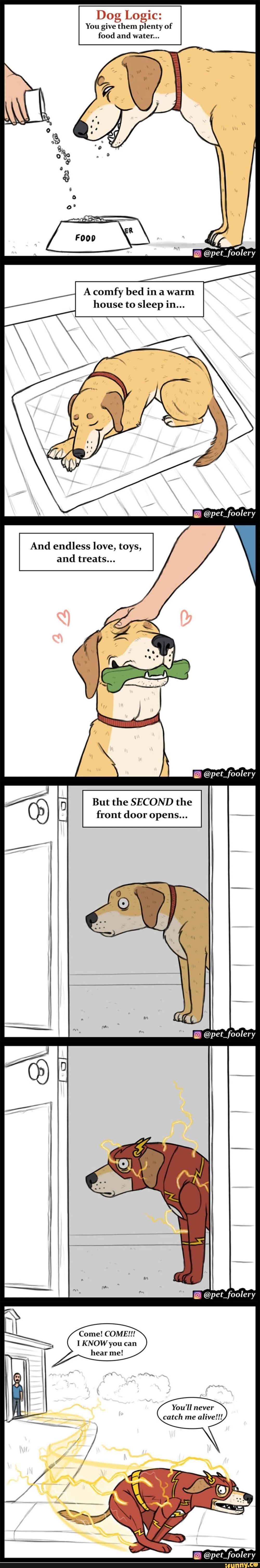 Dog Logic:
You give them plenty of
food and water...
A comfy bed in a warm
house to sleep in...