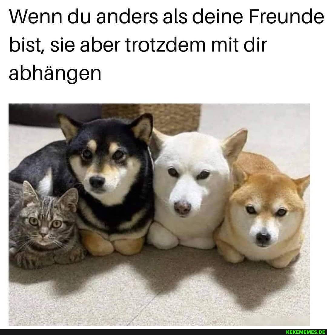 Wenn du anders als deine Freunde bist, sie aber trotzdem mit dir abhängen