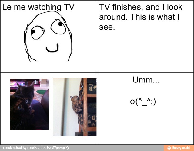 Le me watching TV
DAS
TV finishes, and I look
around. This is what I