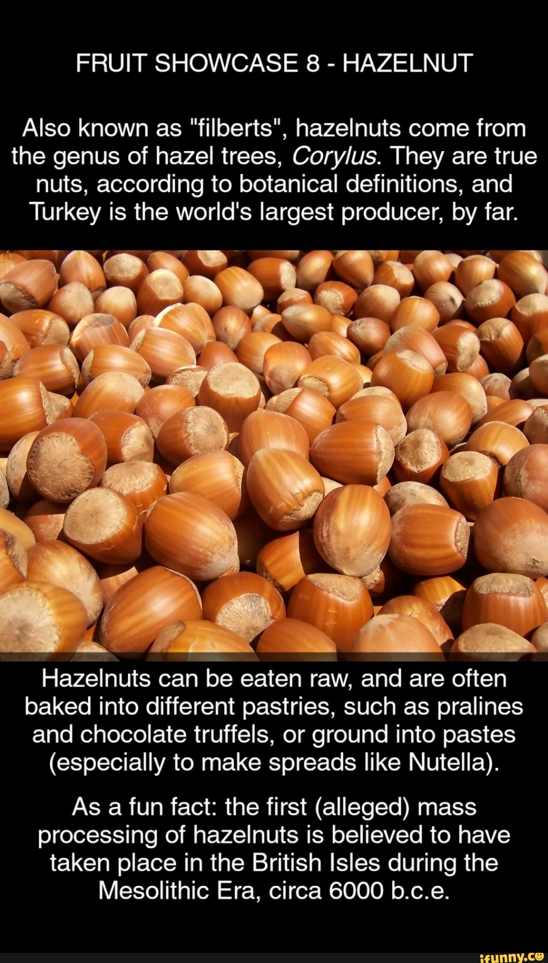 Where Do Hazelnuts Come From