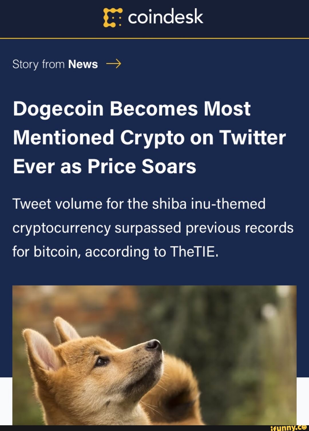 Shiba Inu Crypto Twitter - Nd2vow6xlzli9m - Details on how ...
