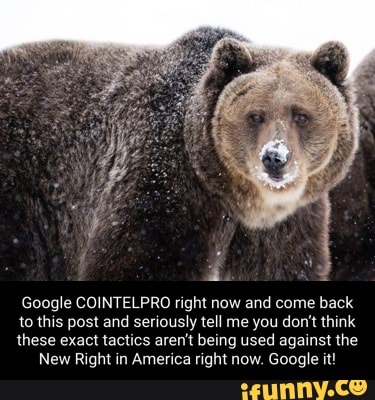 Google COINTELPRO right now and come back
to this post and seriously tell me you don't think
these exact tactics aren't being used against the
New Right in America right now. Google it!