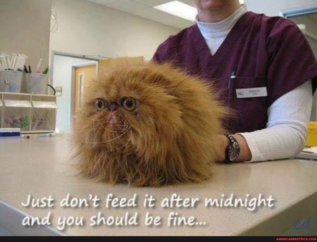 Juse dont feed after ght you should fine.