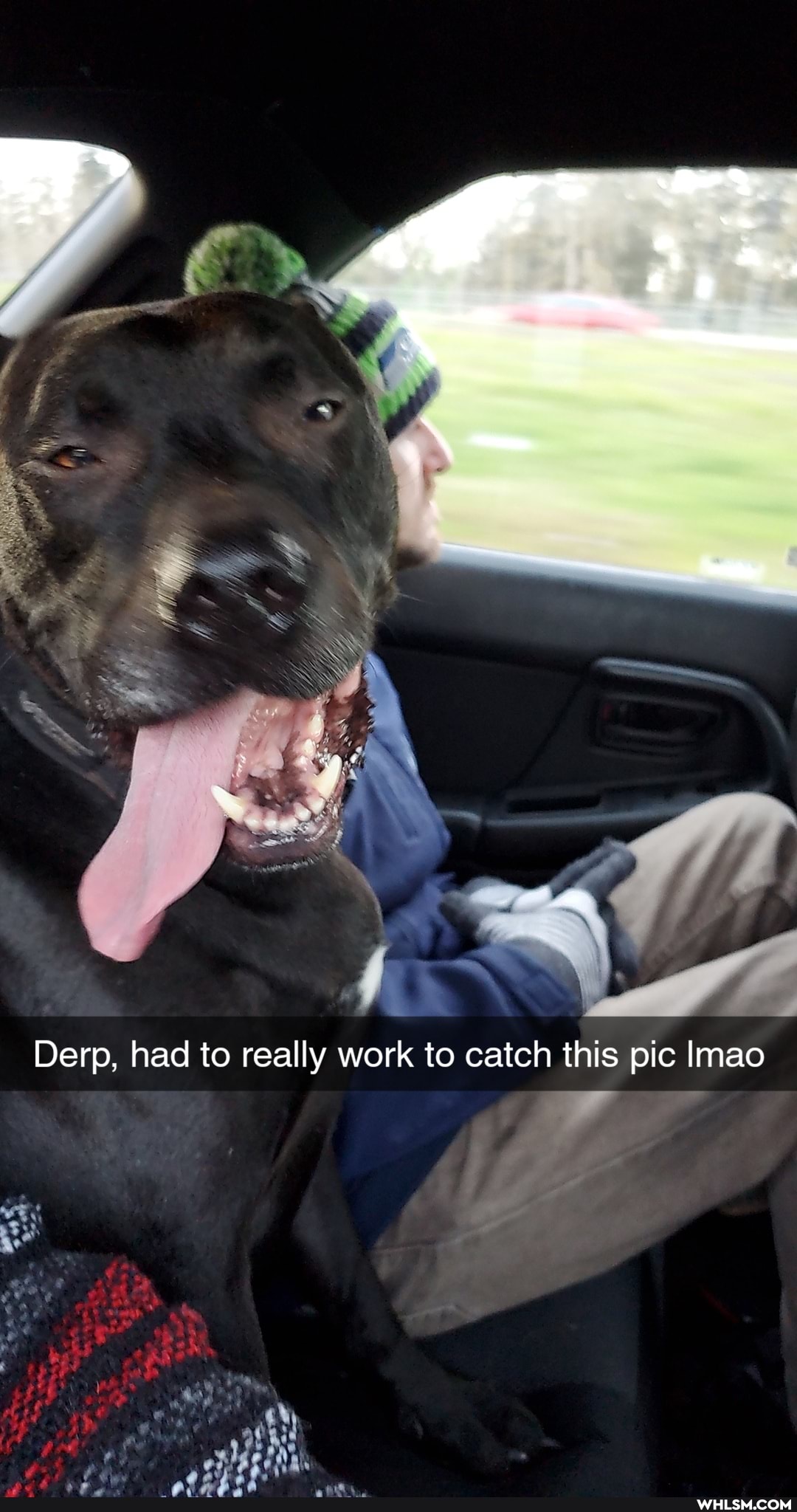 Derp, had to really work to catch this pic Imao