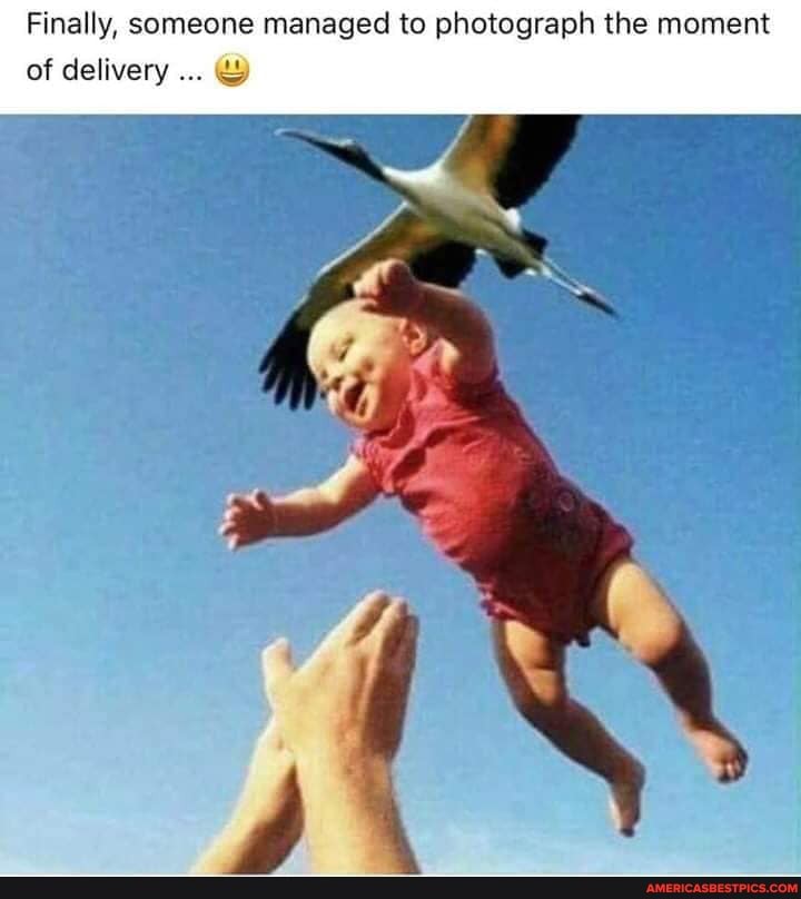 Finally, someone managed to photograph the moment
of delivery