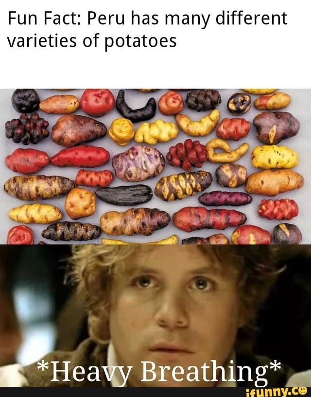 Fun Fact: Peru has many different
varieties of potatoes