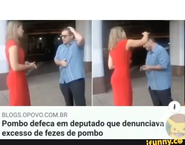 Pombo defeca em deputado que denunciava excesso de fezes de pombo