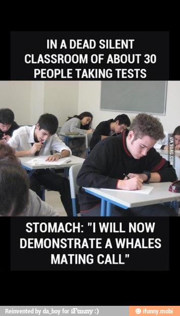 IN A DEAD SILENT
CLASSROOM OF ABOUT 30
PEOPLE TAKING TESTS
STOMACH:
"L WILL NOW
DEMONSTRATE A WHALES
MATING CALL"