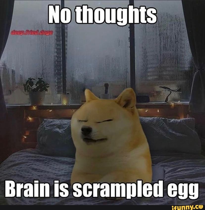 No Thoughts Brain Is Scrampled Egg