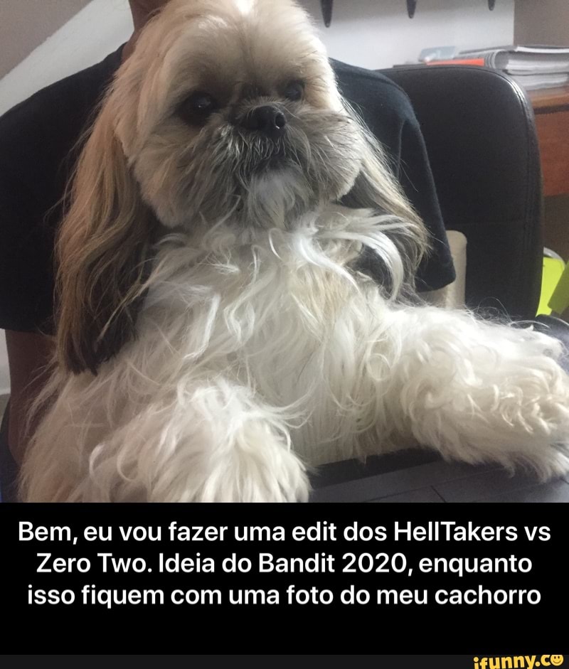 Bem, eu vou fazer uma edit dos HellTakers vs
Zero Two. Ideia do Bandit 2020, enquanto
isso fiquem com uma foto do meu cachorro - Bem, eu vou fazer uma edit dos HellTakers vs Zero Two. Ideia do Bandit 2020, enquanto isso fiquem com uma foto do meu cachorro