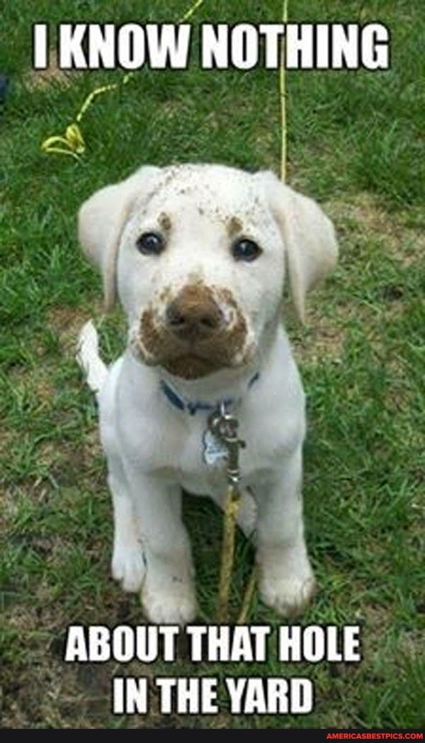 KNOW NOTHING
ABOUT THAT HOLE IN THE YARD