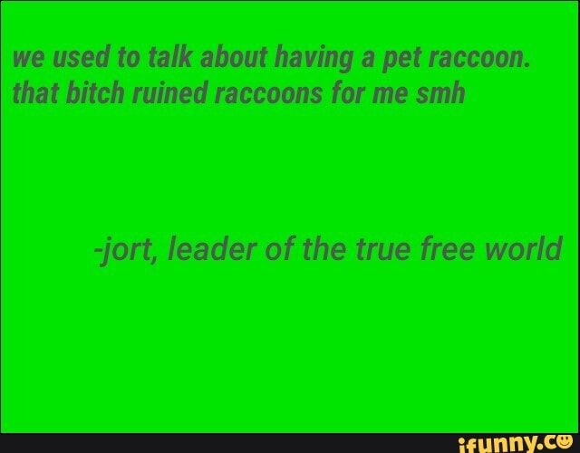 we used to talk about having a pet raccoon.
that bitch ruined raccoons for me smh
-jort, leader of the true free world