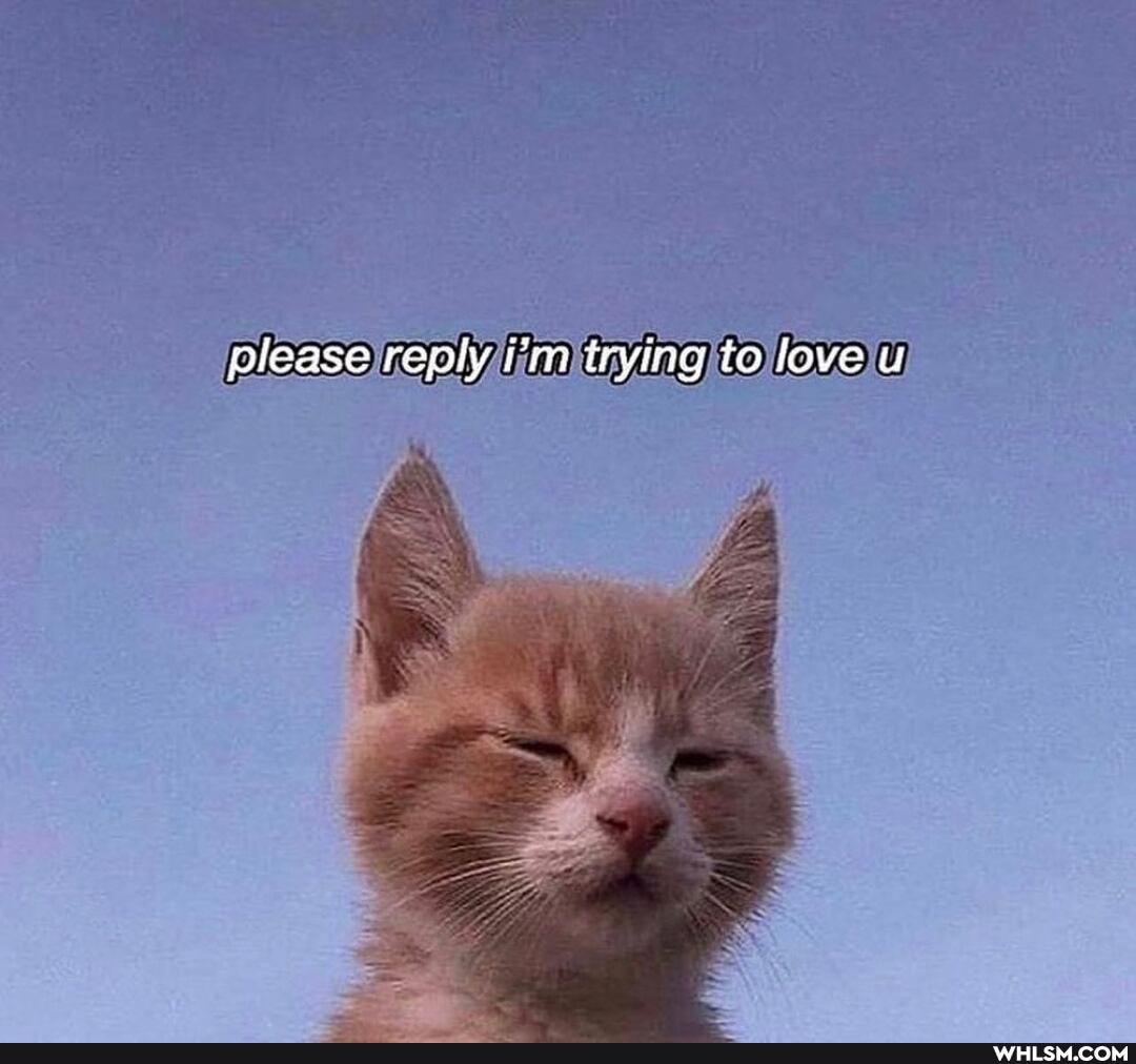 please reply i'm irying to love u