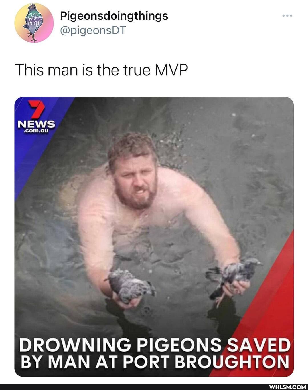 Pigeonsdoingthings
@pigeonsDT
This man is the true MVP
NEWS
DROWNING PIGEONS SAVED BY MAN AT PORT BROUGHTON