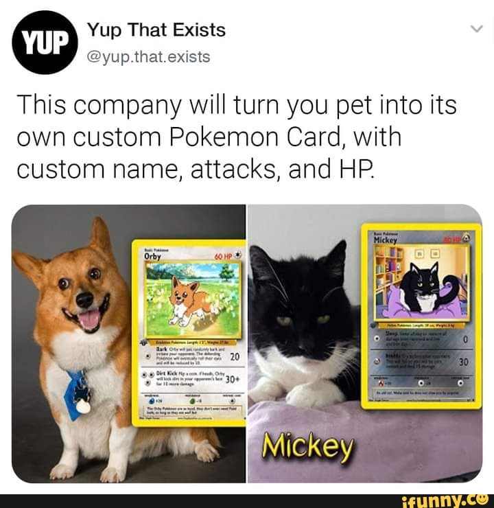 Yup That Exists yup that exists This company will turn you pet into its own custom  Pokemon Card, with custom name, attacks, and HP. - iFunny