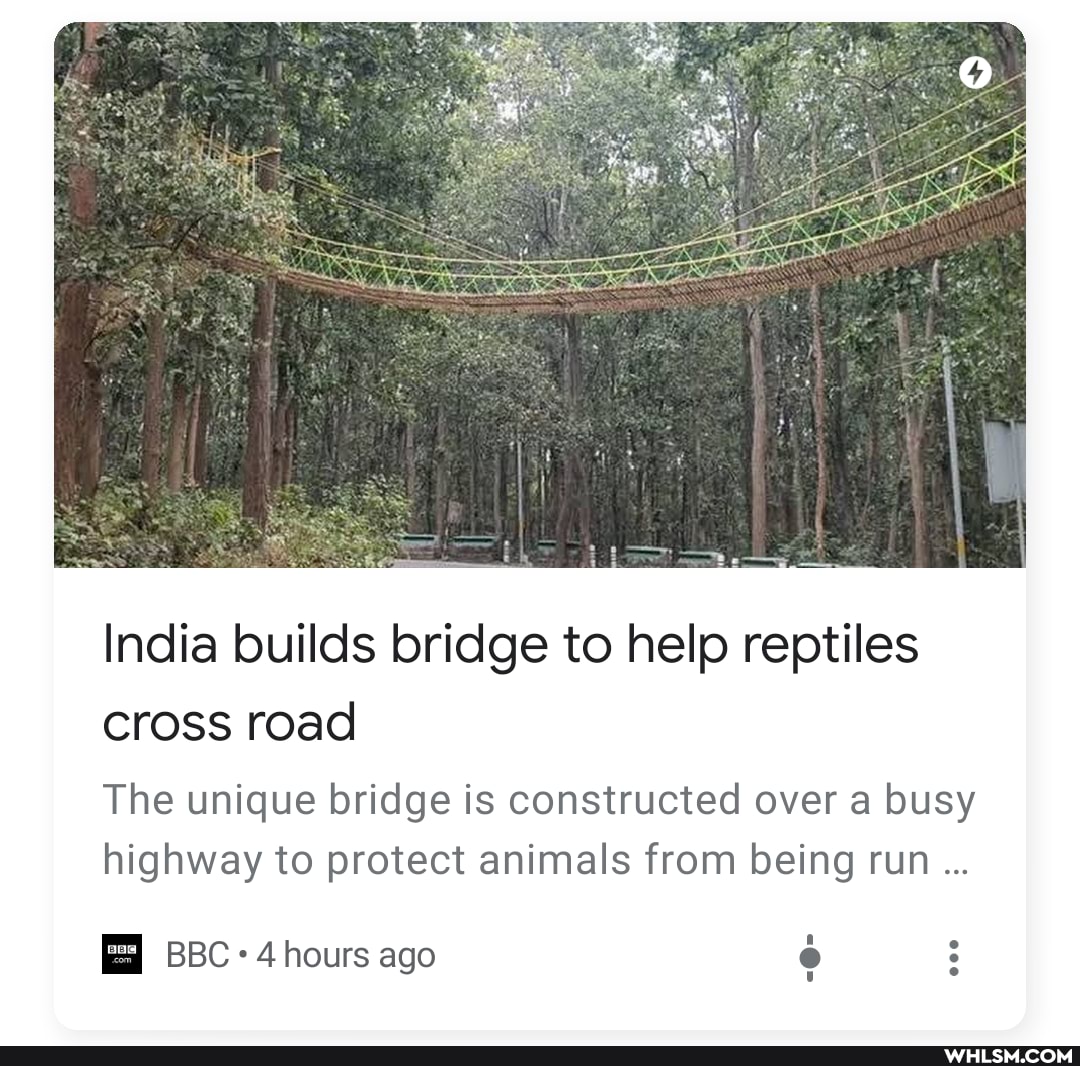 India builds bridge to help reptiles cross road
The unique bridge is constructed over a busy highway to protect animals from being run...
BBC 4 hours ago