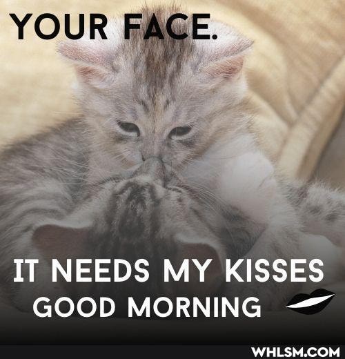 YOUR
IT NEEDS MY KISSES GOOD MORNING
