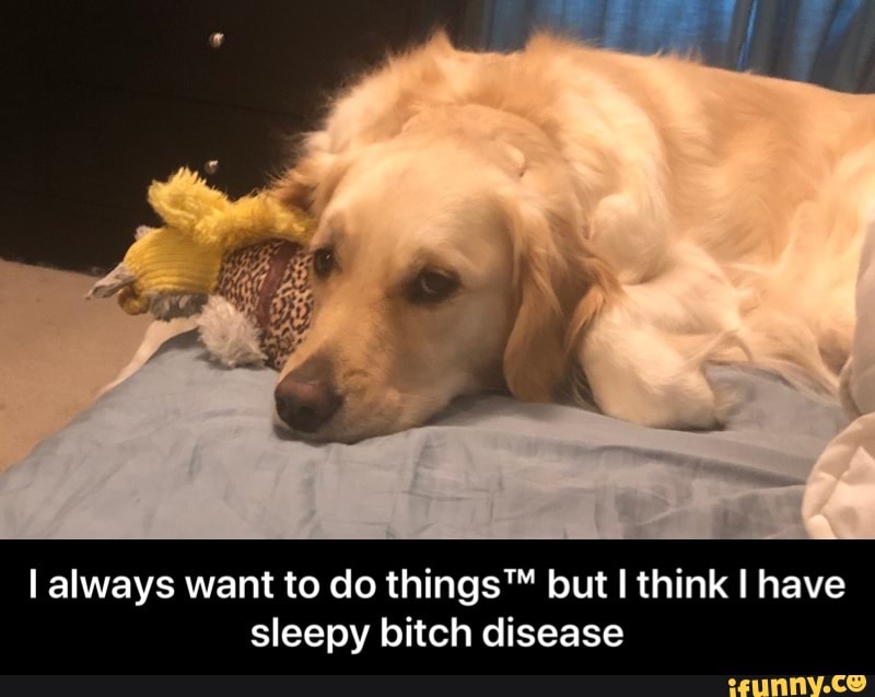 I always want to do things™ but I think I have
sleepy bitch disease - I always want to do things™ but I think I have sleepy bitch disease