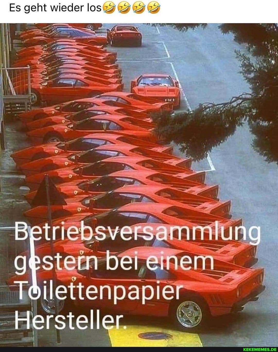 Es geht wieder los