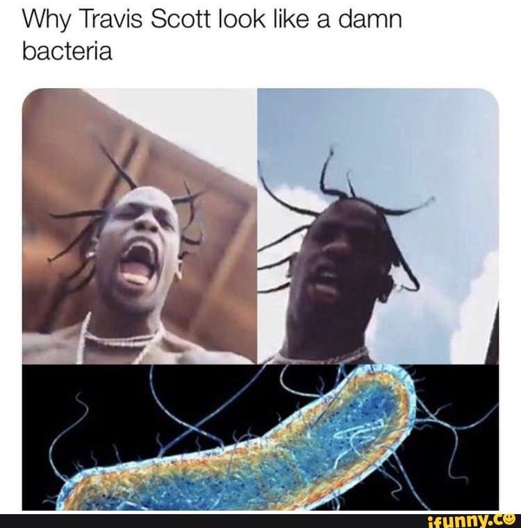Why Travis Scott look like a damn bacteria.