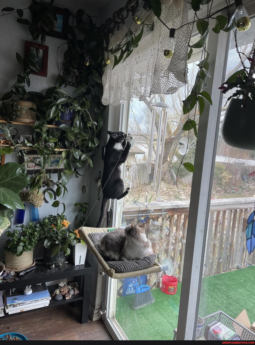 cat, exe, encountered, unexpected, problem, windows