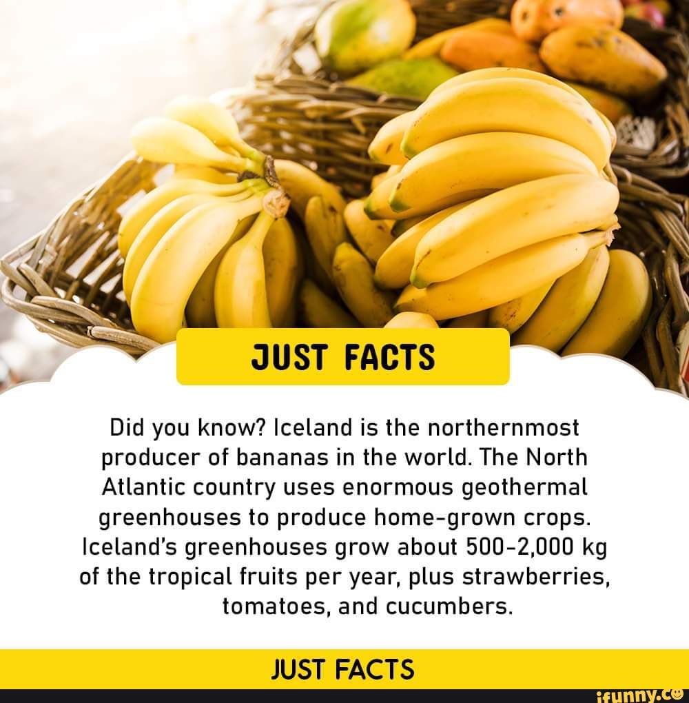 Just fact. Just fact