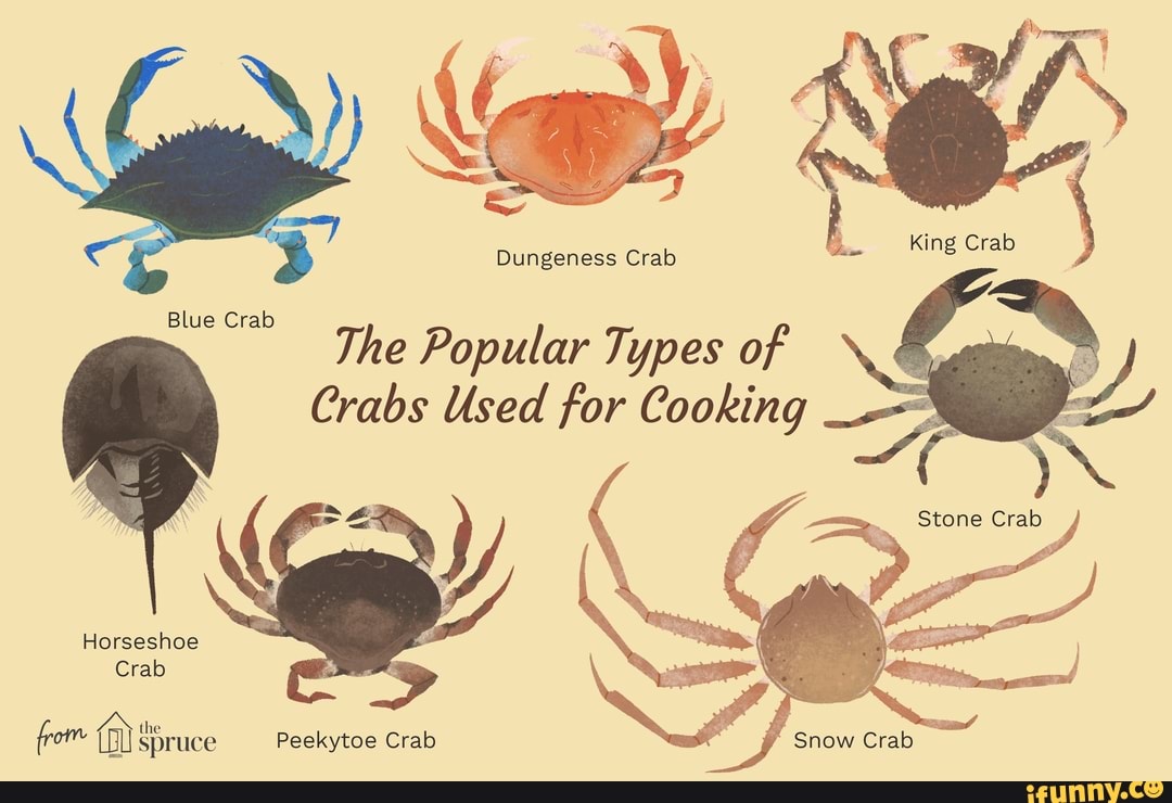 Blue Crab Dungeness Crab The Popular Types of Crabs Used for Cooking ...