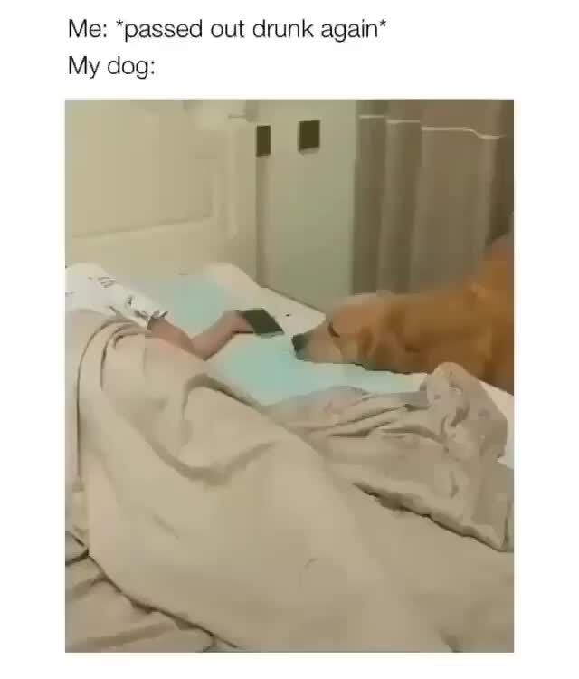 Be Drunk Again