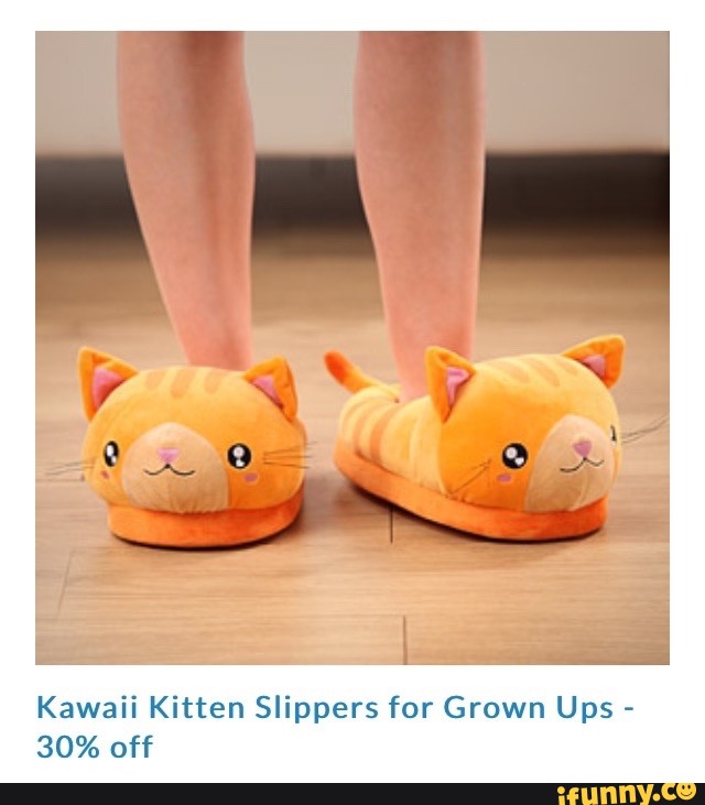 kitten slippers