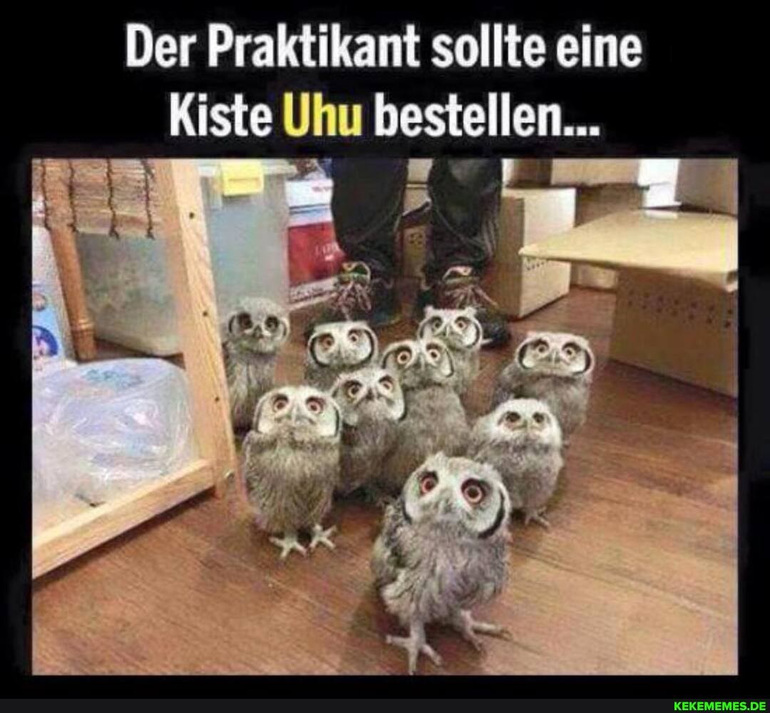 Der Praktikant sollte eine
Kiste Uhu bestellen...