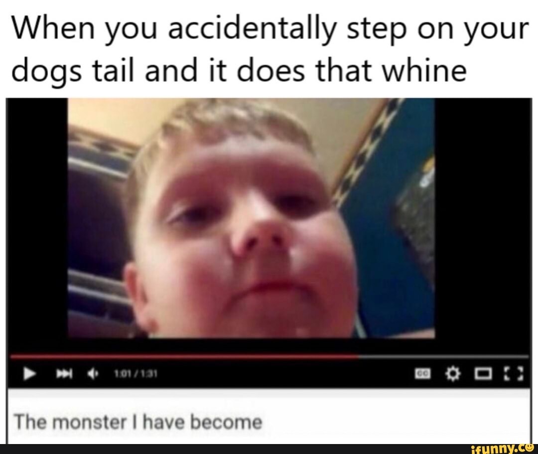 When you accidentally step on your dogs tail and it does that whine ta