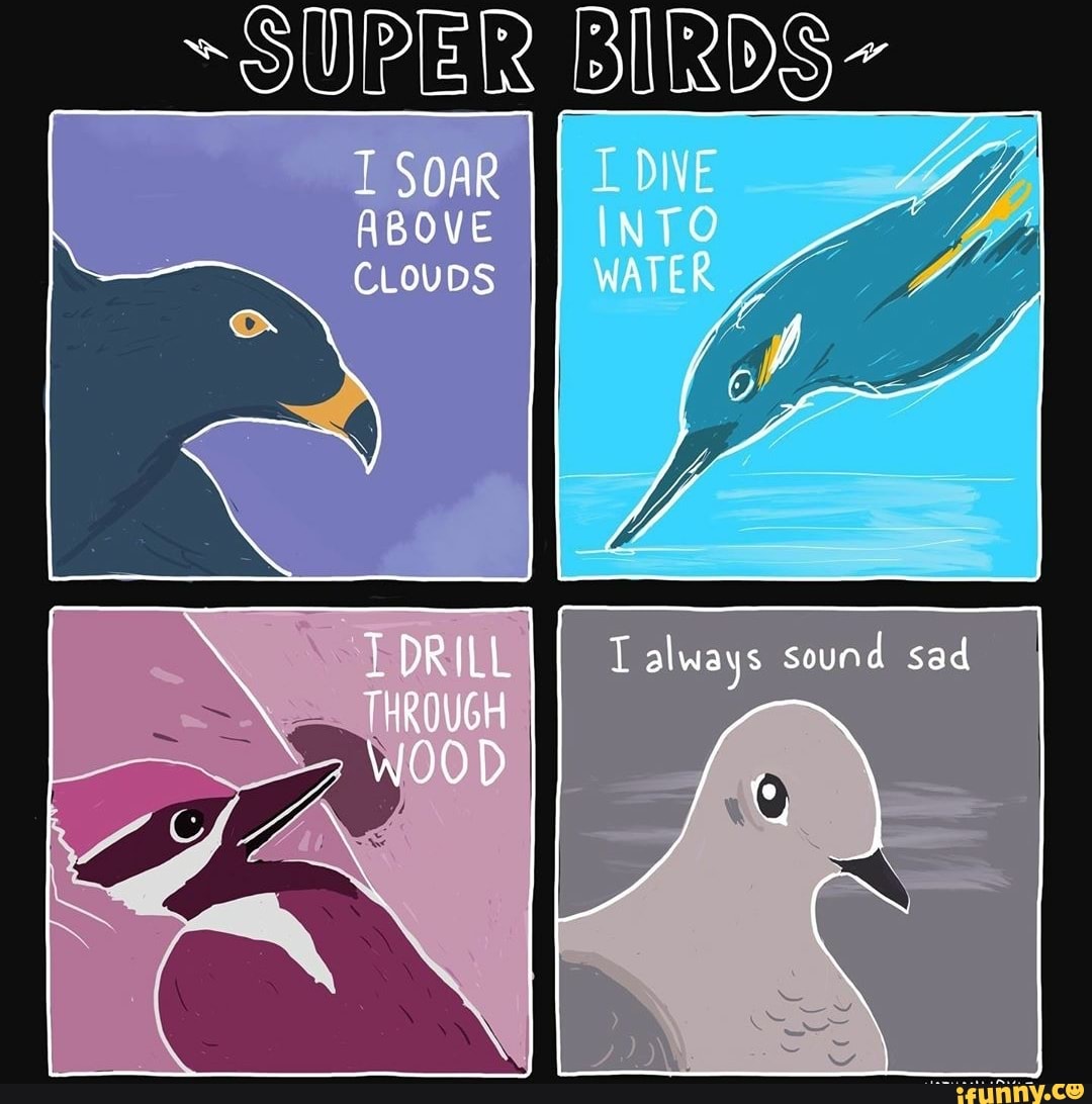 Always sound. Наушники perfect blue. Super birds картинка на обложку вк. Always sound. Перевод песни yeah right.