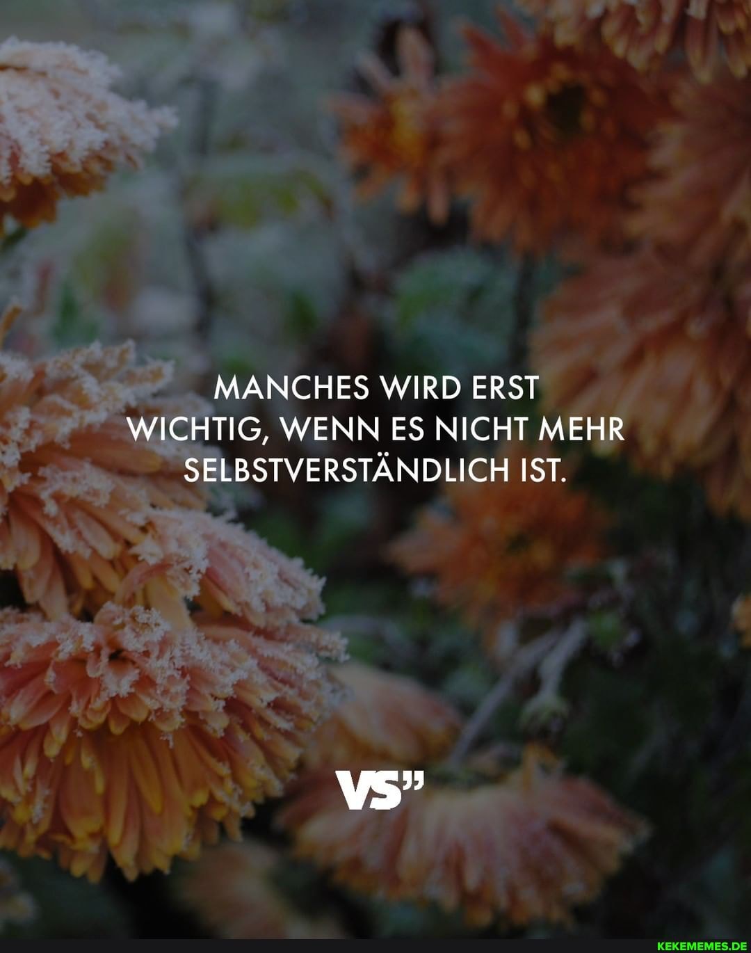 MANCHES WIRD ERST WICHTIG, WENN ES NICHT MEHR SELBSTVERSTÄNDLICH IST.