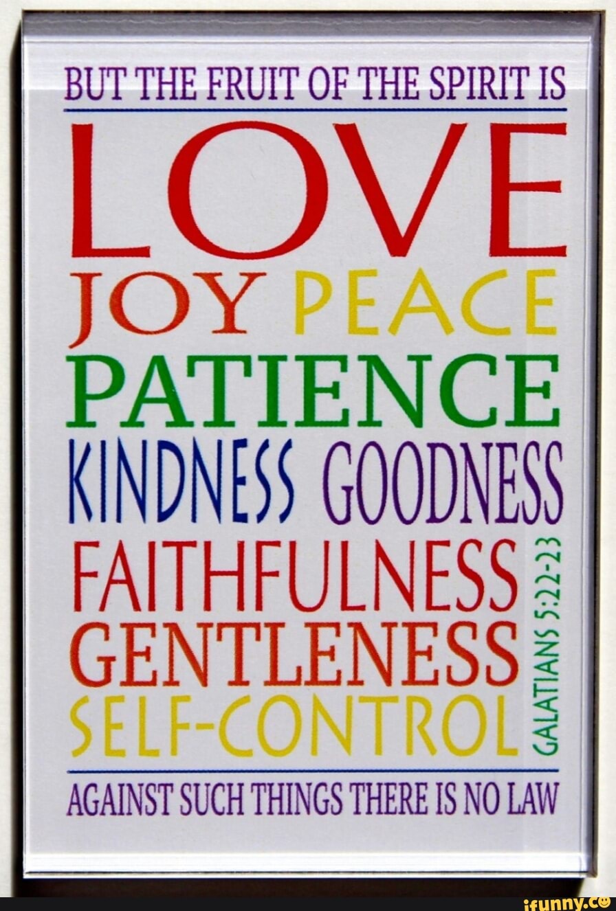 BUT THE FRUIT OF THE SPIRIT IS JOY PATIENCE KINDNESS GOODNES ...