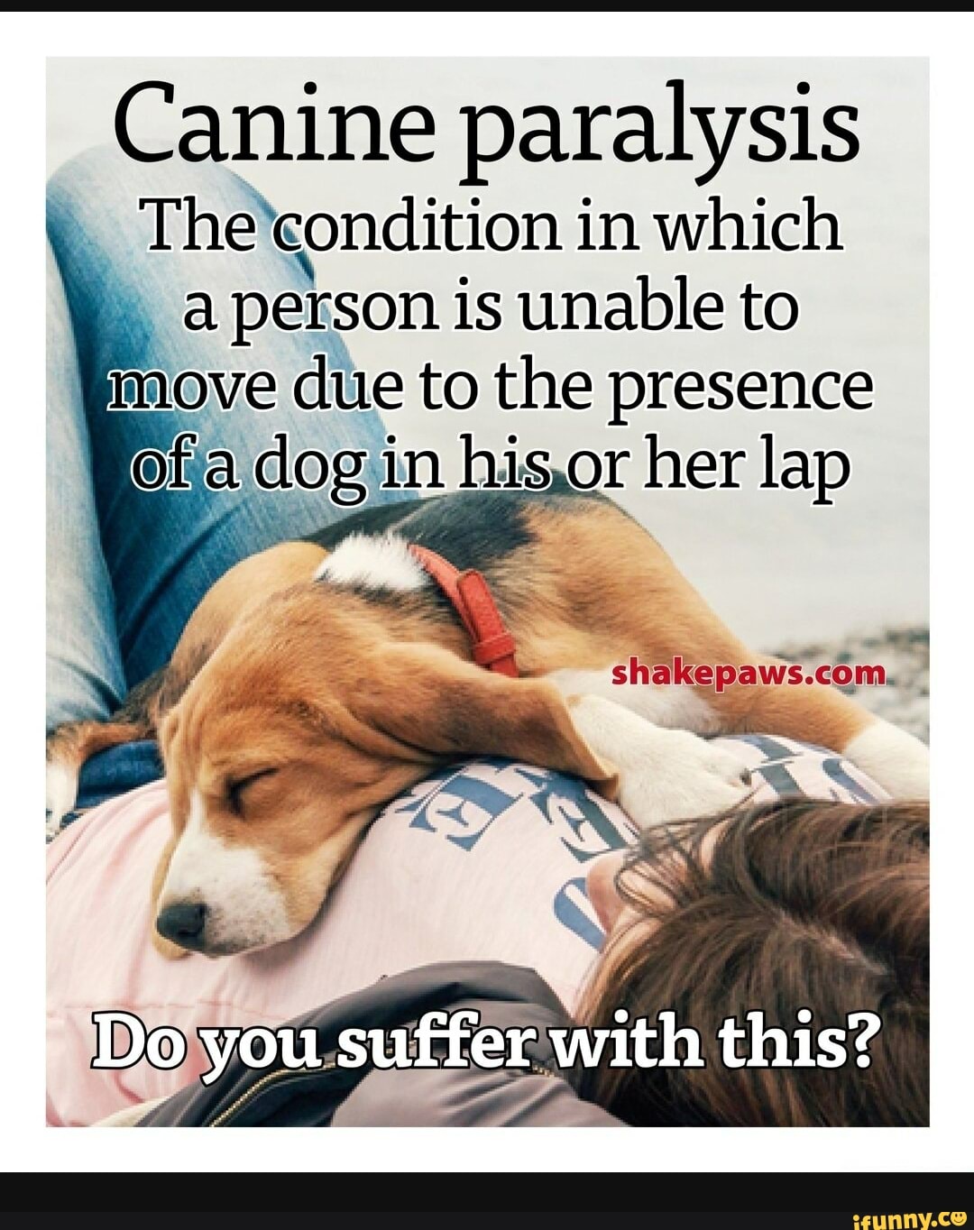 Canine paralysis
The condition in which person is unable to move due to the presence
Of; dog in hisor her lap
sh
Do