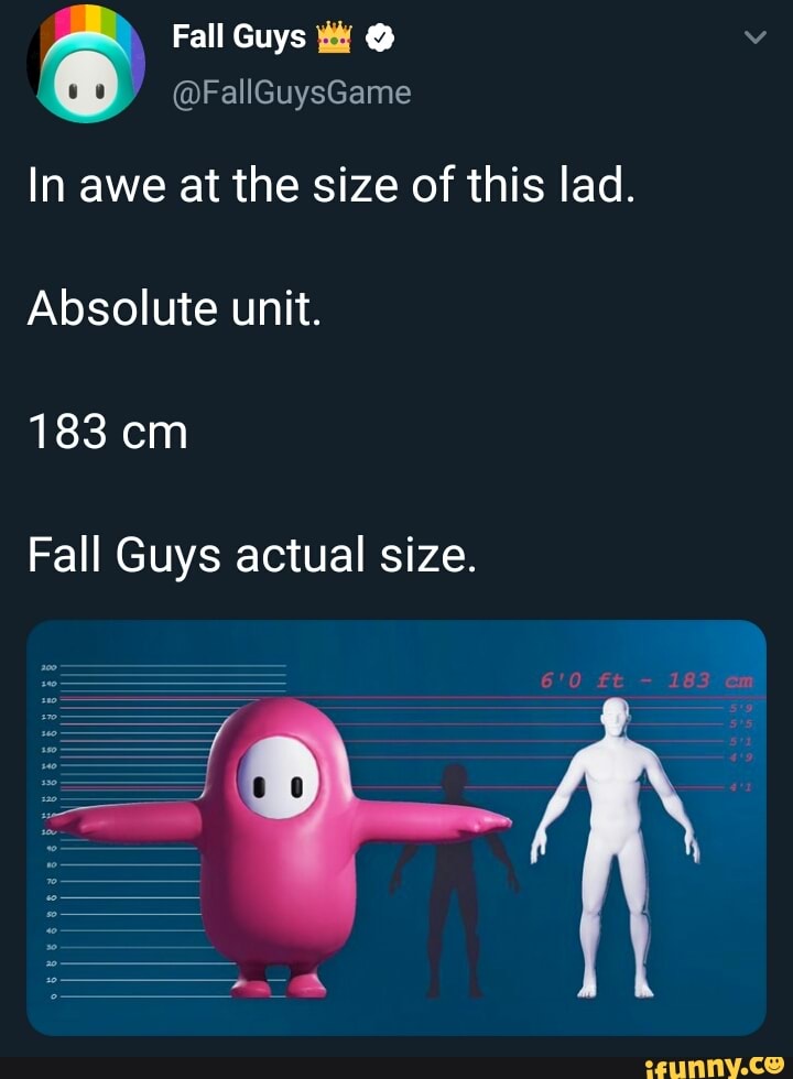 Fall Guys @ @FallGuysGame In awe at the size of this lad. Absolute unit ...