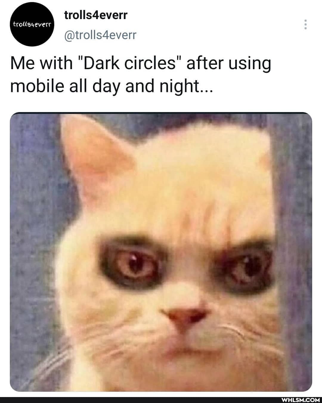 @trolls4everr
Me with "Dark circles" after using mobile all day and night...