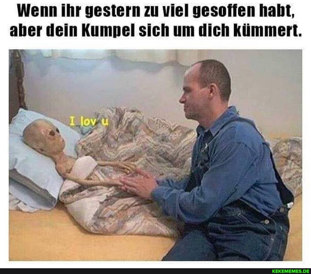 Wenn ihr gestern zu viel gesoffen habt, aber dein Kumpel sich um dich kümmert.