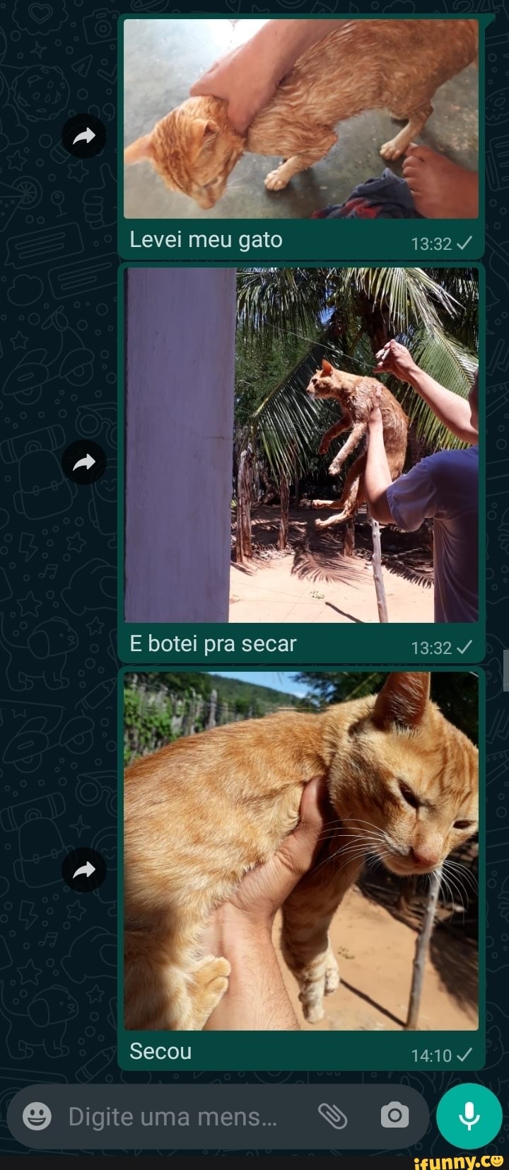 Levei meu gato
E botei pra secar
Secou
Digite uma mens...