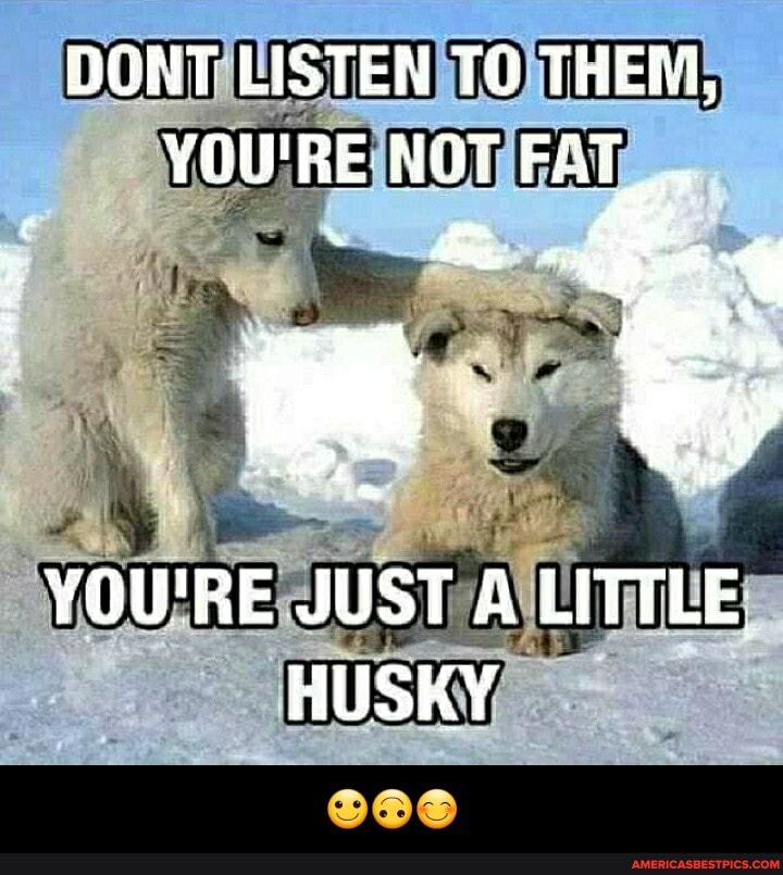 DGNT LISTEN TO THEM,
YOU'RE NOT FAT_.
YOWRE JUST A LITTLE.
HUSKY - 🙂🙃😊