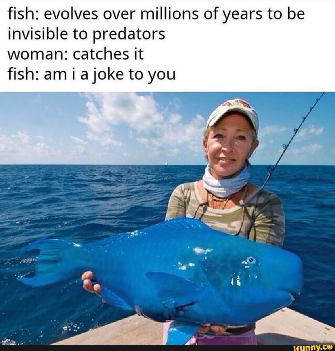 fish: evolves over millions of years to be invisible to predators
woman: catches it fish: am i a joke to you