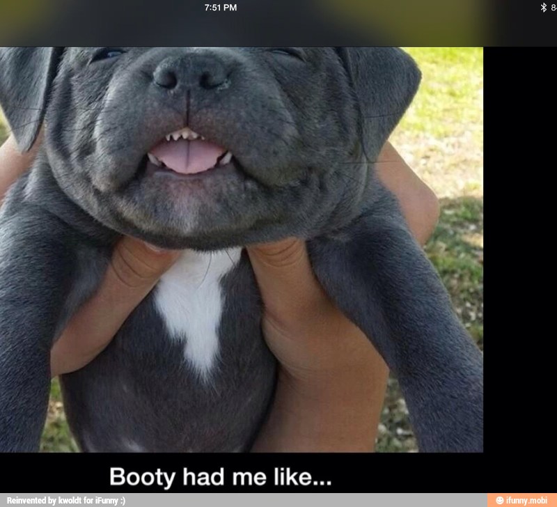 me like... Booty had